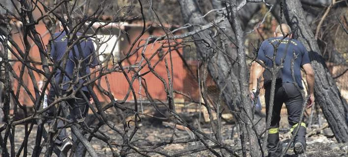 Εξώδικο στο δήμαρχο Διονύσου μετά την καταστροφή στο Μάτι